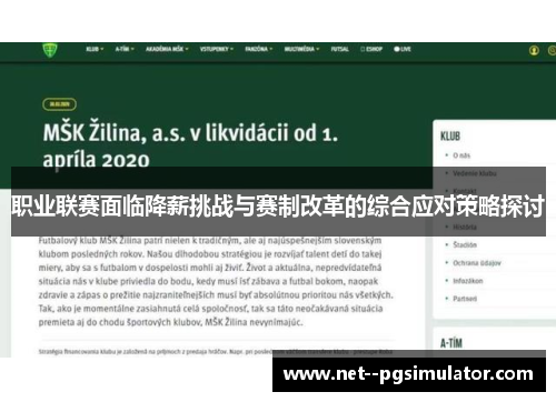 职业联赛面临降薪挑战与赛制改革的综合应对策略探讨
