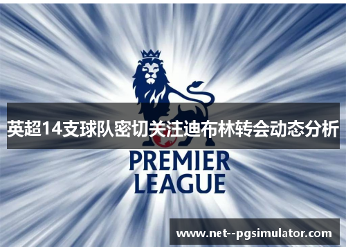 英超14支球队密切关注迪布林转会动态分析 英超14支球队密切关注迪布林转会动态分析