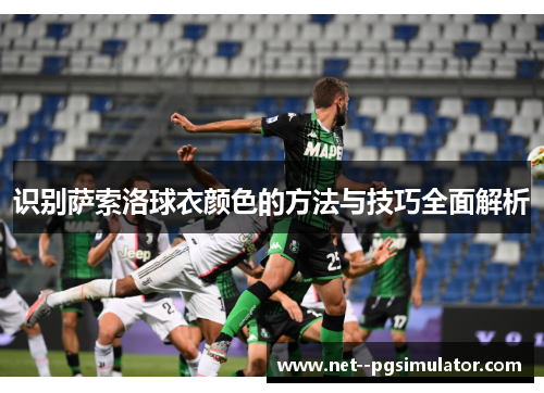 识别萨索洛球衣颜色的方法与技巧全面解析 识别萨索洛球衣颜色的方法与技巧全面解析