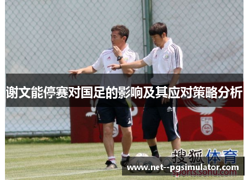 谢文能停赛对国足的影响及其应对策略分析