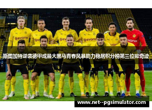 斯图加特逆袭德甲成最大黑马青春风暴助力稳居积分榜第三位掀奇迹