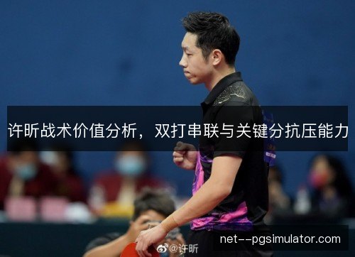 许昕战术价值分析，双打串联与关键分抗压能力