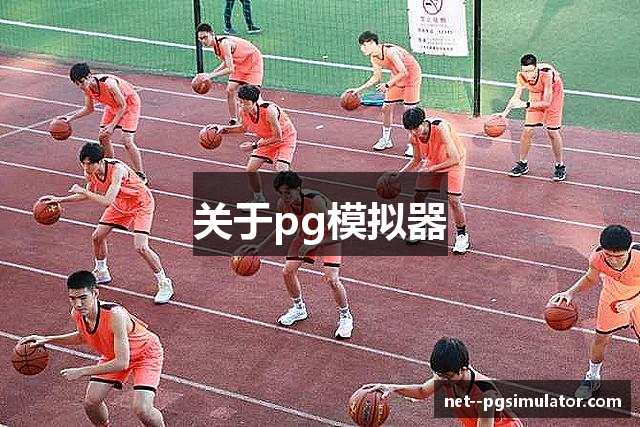 关于pg模拟器